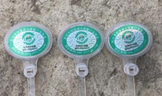 天津阳澄湖大闸蟹 天津阳澄湖大闸蟹