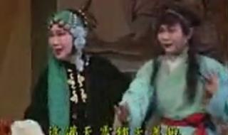 扬剧李开敏 扬剧李开敏