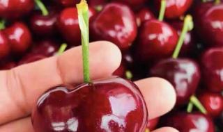 榴莲大降价30元一斤 榴莲大降价30元一斤