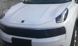 我愿做你的召唤兽