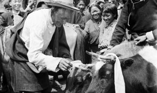 舞蹈翻身农奴把歌唱