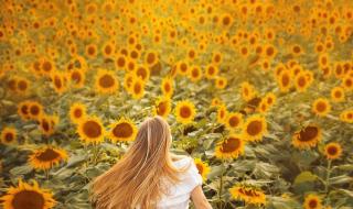 摄影一般要多少钱