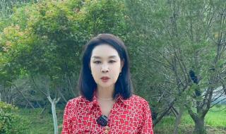 田园晚风在线收听 田园晚风在线收听