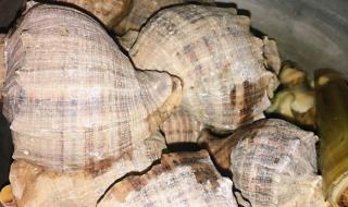 天津王顶堤批发市场